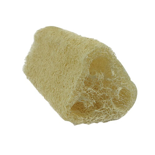 Fibra Forte Bucha Vegetal