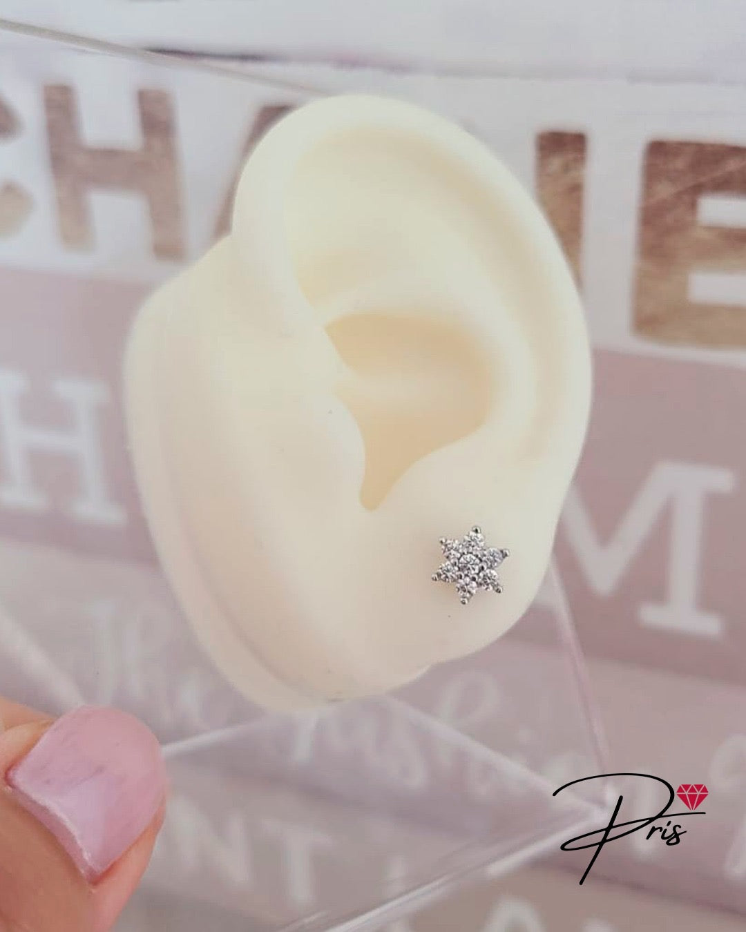 Brinco Flor Pris Accessories